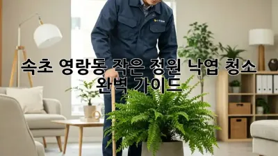 속초 영랑동 작은 정원 낙엽 청소 완벽 가이드