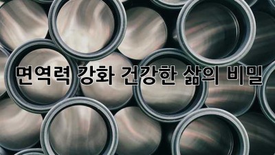 면역력 강화! 건강한 삶의 비밀