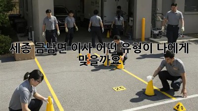 세종 금남면 이사, 어떤 유형이 나에게 맞을까요? 🤔