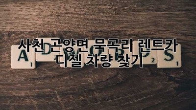 사천 곤양면 묵곡리 렌트카: 디젤 차량 찾기